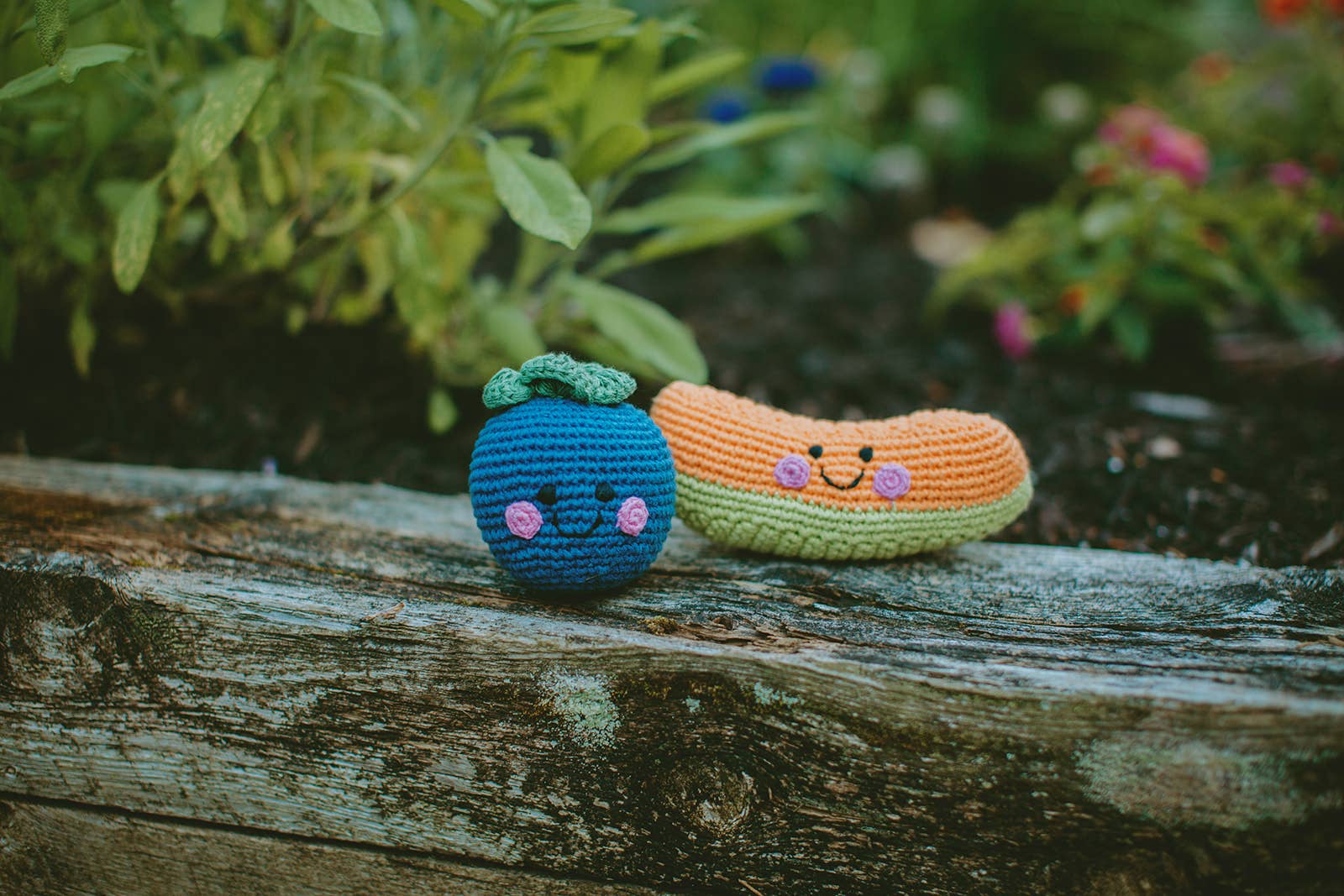 Blueberry soft plush toy with squeaker, round blue fruit design with leafy top, sold by stitch + tail