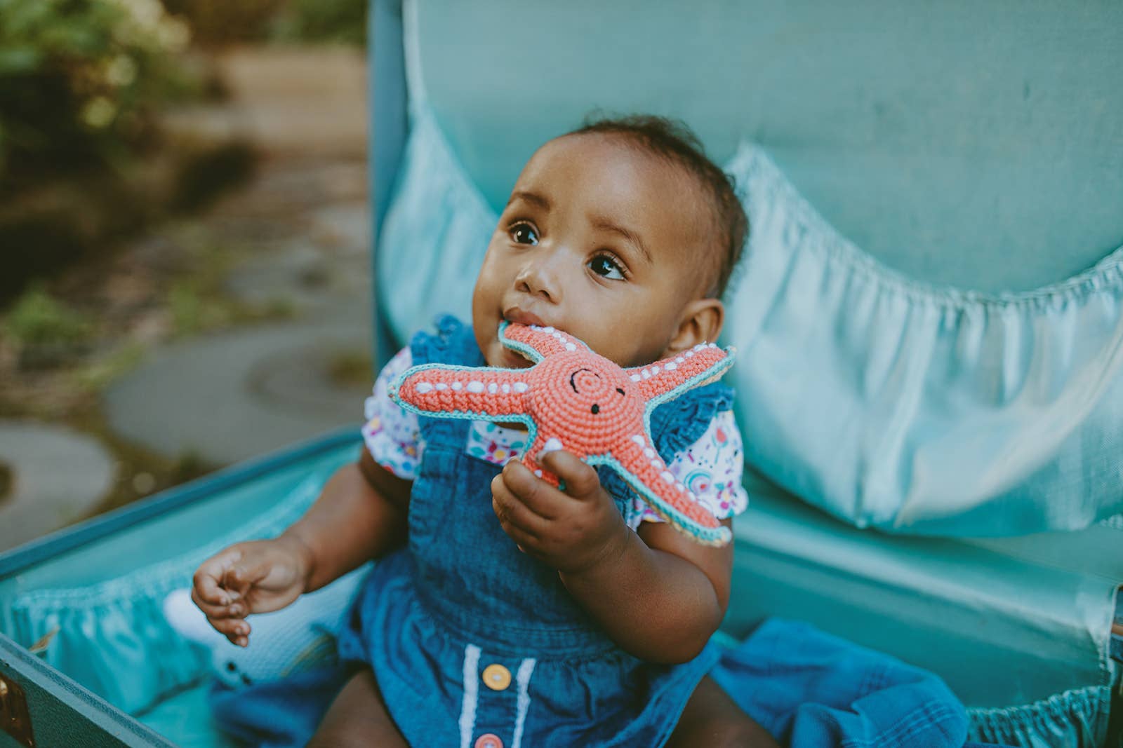 Starfish soft plush toy with squeaker, bright star-shaped sea creature design, sold by stitch + tail