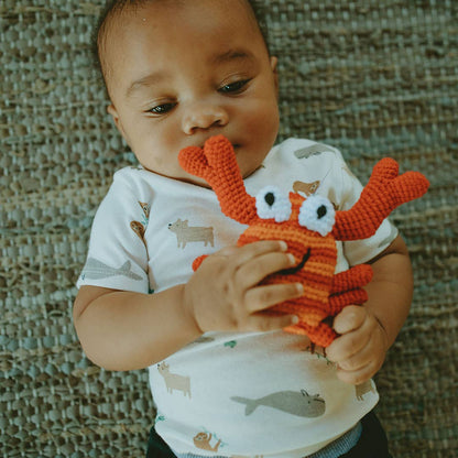 Sheldon the Crab